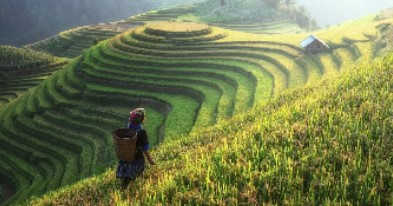 Gambar Potensi